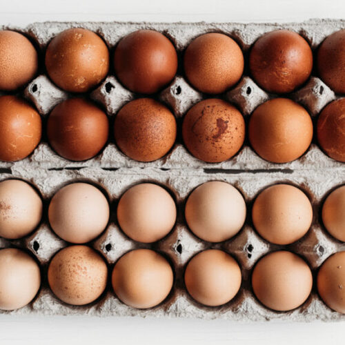 Are eggs dairy? Why people might think so