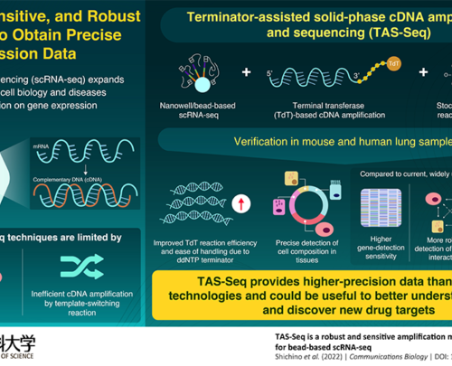 Novel, Sensitive, and Robust Single-Cell RNA Sequencing Technique Outperforms Competition