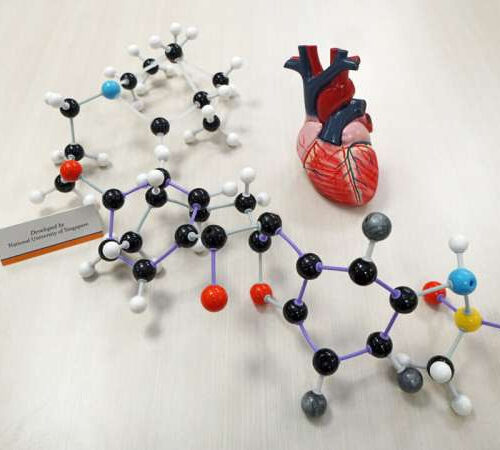 New drug molecule for treatment of atrial fibrillation