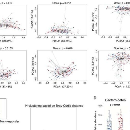Predicting cancer immunotherapy response from gut microbiomes using machine learning models