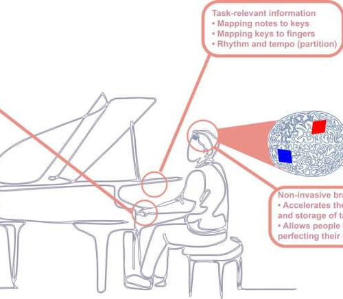 Brain stimulation improves motor skill learning at older age