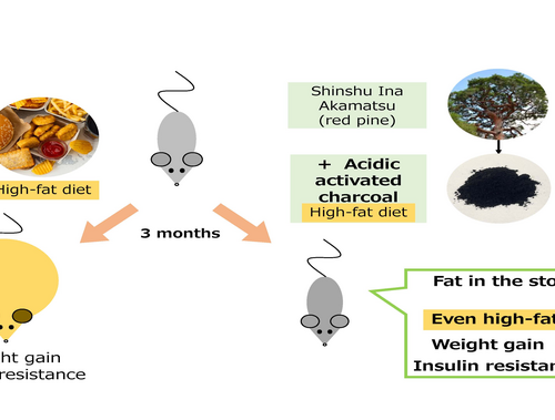 Acidic activated charcoal prevents weight gain and insulin resistance in high-fat diet mice