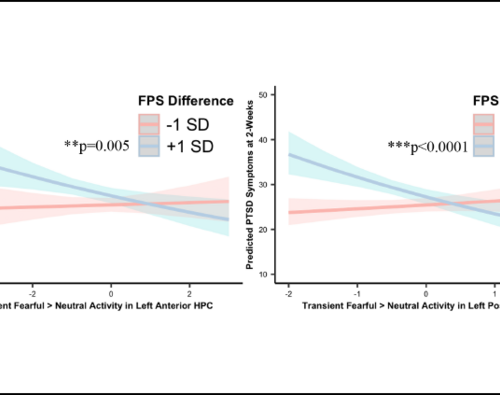 Severity of PTSD symptoms linked to decreased activity in hippocampus