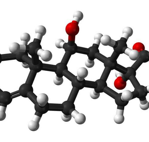 Higher cortisol levels may help predict risk of people developing depression in the future