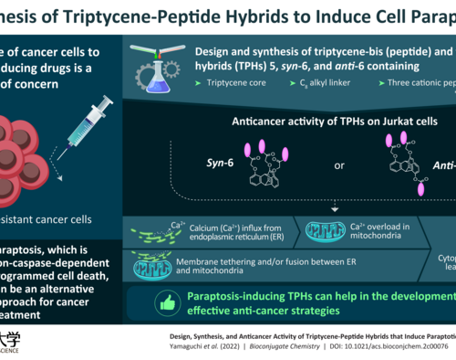 Programmed cell death in cancer cells: Overcoming resistance through paraptosis-inducing compounds