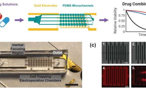 A new microfluidic system could keep tabs on cancer treatment