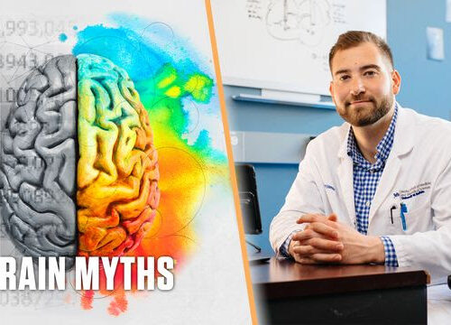 3 Myths You Didn’t Know About Your Brain