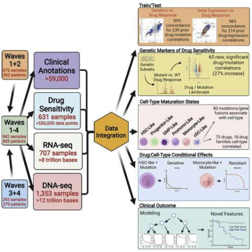 A better roadmap for beating deadly leukemia