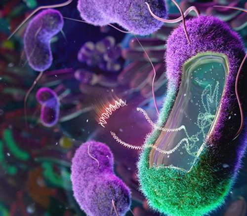 Engineering the microbiome to potentially cure disease