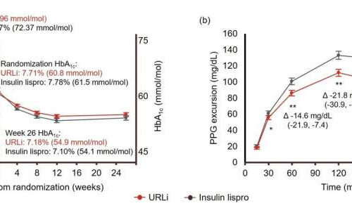 Examining the efficacy of lispro in postprandial glucose control for diabetes