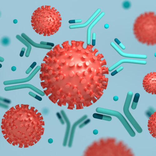 Antibody “master key” discovery could neutralize all COVID variants