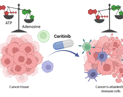 Therapeutic drug renders cancer cell weapon harmless