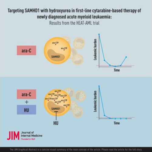 Breakthrough in precision medicine for the treatment of acute myeloid leukemia