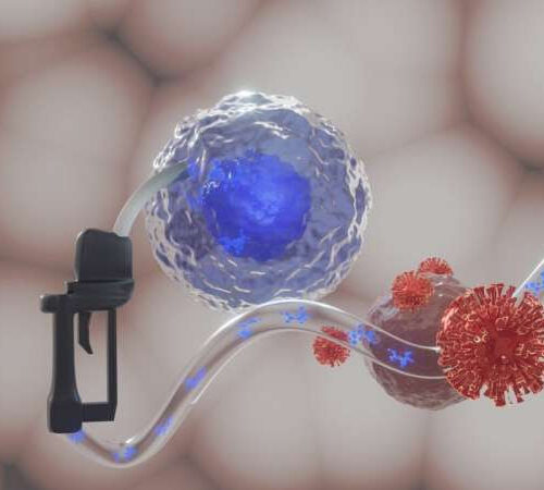 COVID-19: New energy for flagging immune cells