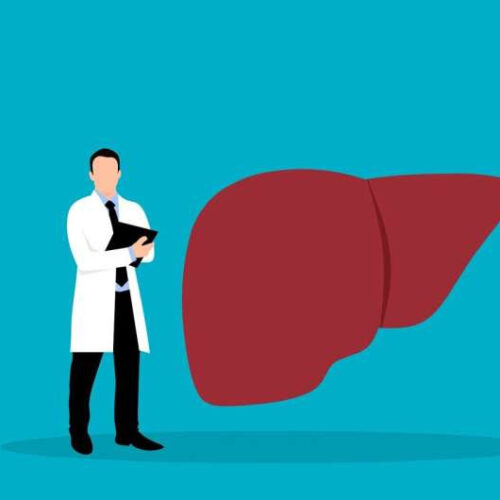 Liver cancer’s supercharged metabolism offers a new treatment strategy, study suggests