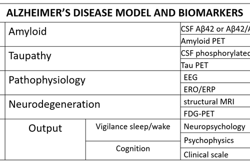 Researchers explore the “dark side” of Alzheimer’s Disease revealing new biomarkers