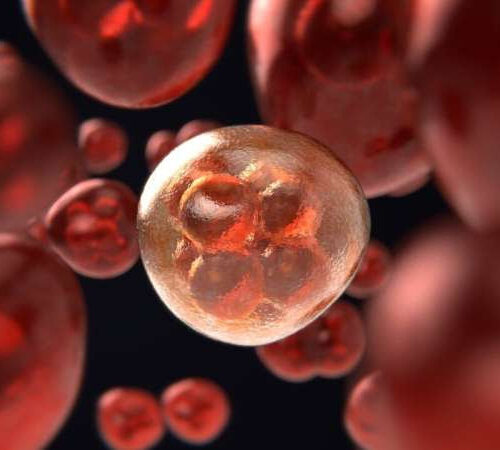 Some cancer immunotherapy treatments may damage fertility