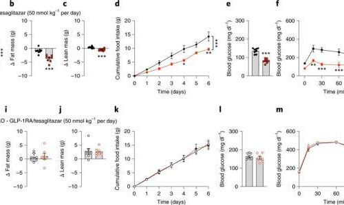 New drug candidate developed to treat type 2 diabetes