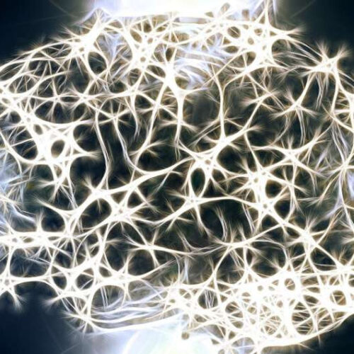 Protein ‘traffic jam’ in neurons linked to neurodegeneration