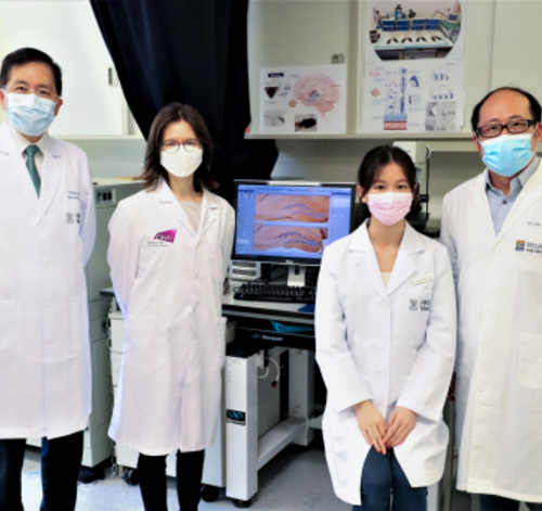 HKUMed & CityU researchers jointly discover non-invasive stimulation of the eye for depression and dementia