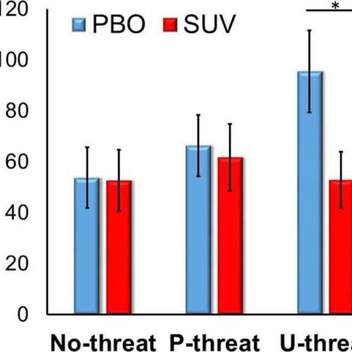 Study suggests strategy for alleviating stress-related anxiety and alcohol use