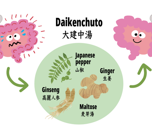 How a Japanese herbal medicine protects the gut against inflammatory bowel disease