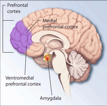 Hepatitis C drugs may reduce PTSD symptoms