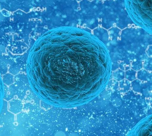 Stem cell-gene therapy shows promise in ALS safety trial