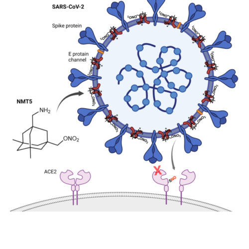 New drug has potential to turn COVID-19 virus against itself