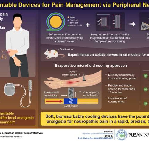 Researchers develop bioresorbable, implantable device to block pain signals from peripheral nerves