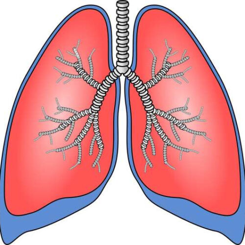 Researchers develop screening tool to aid early diagnosis of idiopathic pulmonary fibrosis