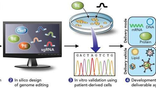 New report illustrates potential of precision genome editing in treating inherited retinal diseases