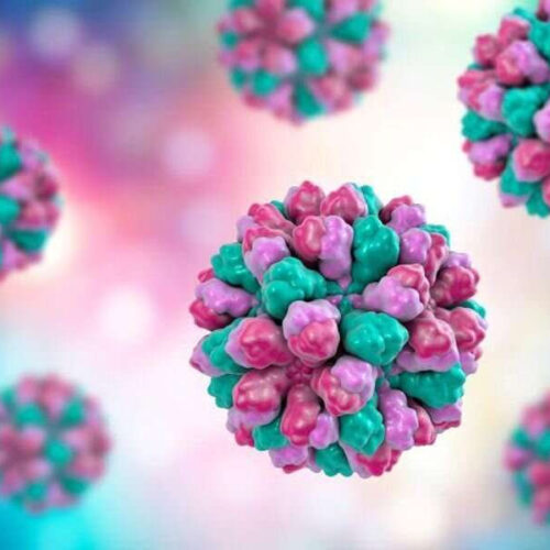 Norovirus outbreaks have increased to prepandemic levels