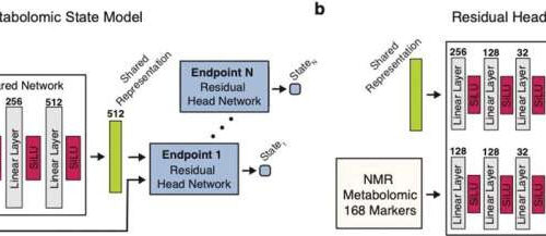 The predictive power of blood: Metabolomic profiling reveals risk of multiple diseases all at once