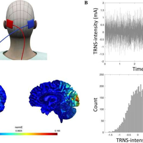 Can ‘random noise’ unlock our learning potential?