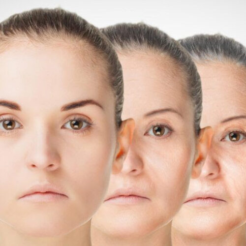 Scientists Discover That a Certain Nutrient Promotes Anti-Aging