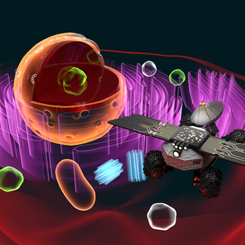 Cell Rover: Exploring and augmenting the inner world of the cell