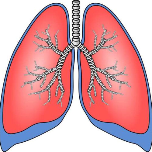 Resistance-breathing training found to lower blood pressure