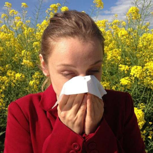 Fall allergies: What to expect