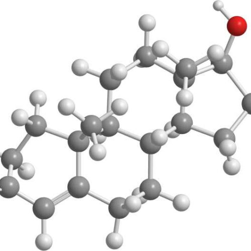 Blocking FNDC5, the precursor of the exercise hormone irisin, protects mice from cancer-induced cachexia