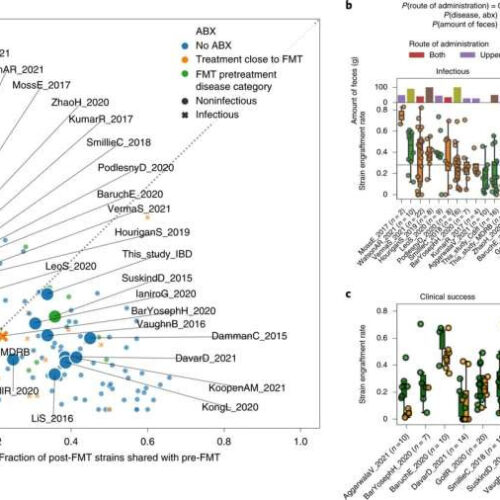 Microbiota transplantation as a therapeutic tool: Deciphering how the technique affects different diseases