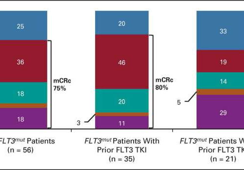 Improving drug therapy for relapsed leukemia