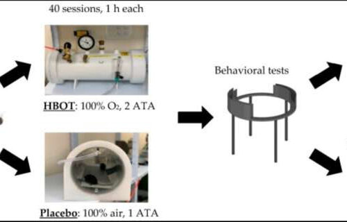 Pressure chamber therapy is effective in the functional improvement of autism, study finds