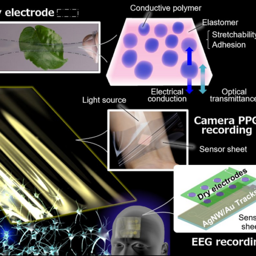 Measuring brain activity on the go