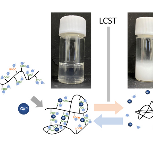 Smart materials: metal cations-recognizable thermoresponsive polymers