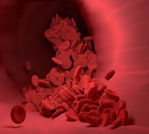 Healthy blood flow is more important than you may know