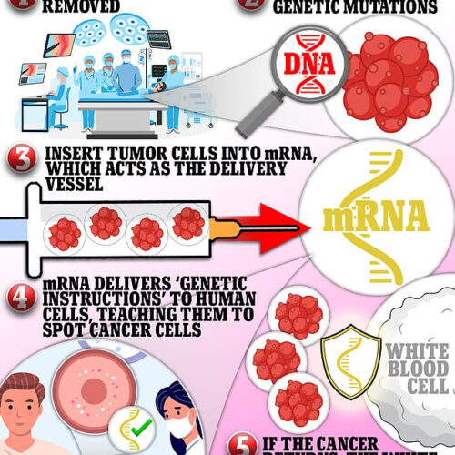 Drug giant Merck teams with Moderna to develop shot for melanoma that uses patients’ own TUMORS