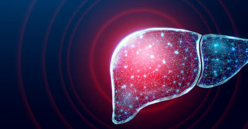 Mouse Study Reveals How to Help Speed Up The Liver’s Self-Regeneration Process