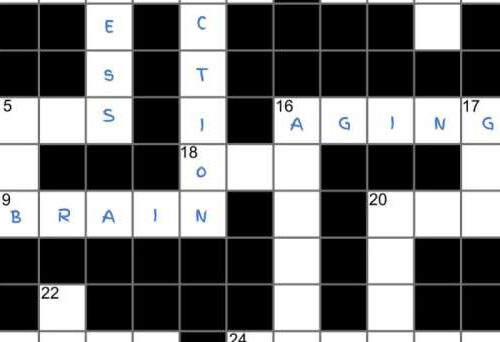 Crossword puzzles beat computer video games in slowing memory loss