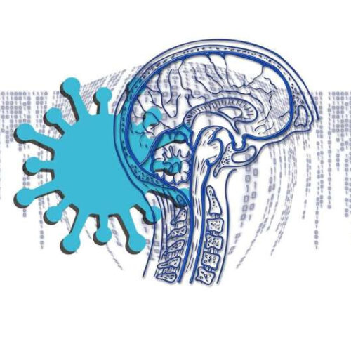 New study reveals possible brain mechanisms behind COVID-19 delirium